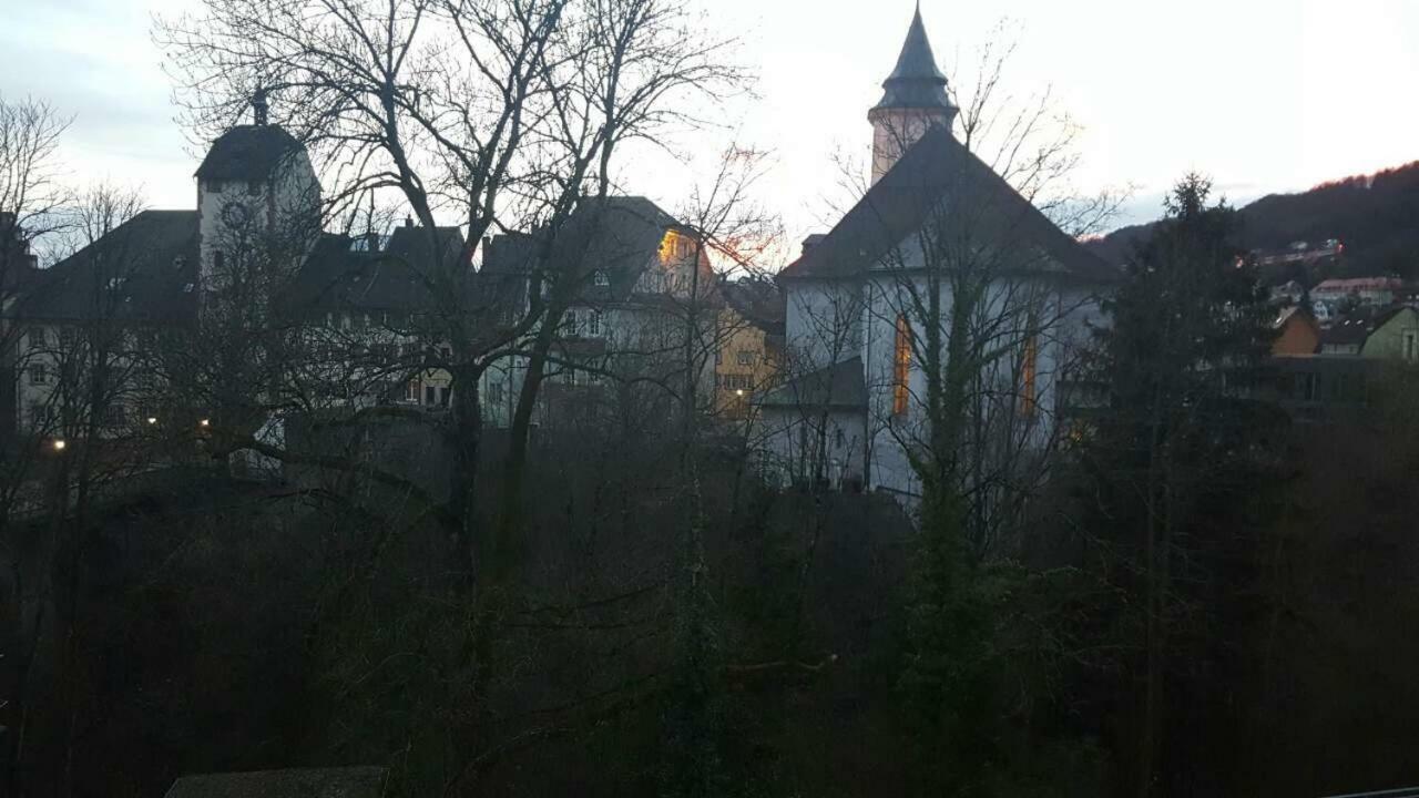 Waldshut Suite In Zentrum Eksteriør bilde